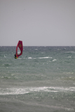 IMG_1780
