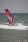 IMG_2013